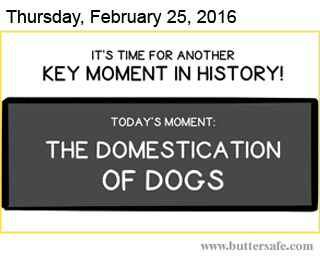 The Domestication of Dogs