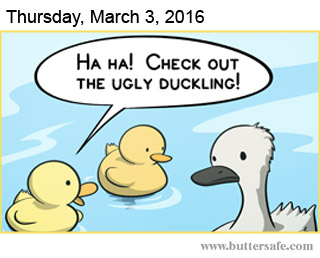 The Ugly Duckling