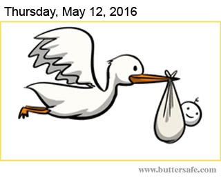 A Delivery From The Stork